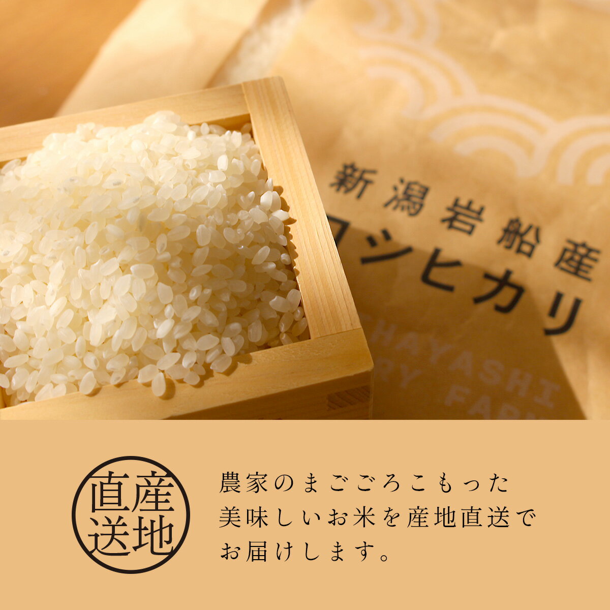 新潟県 岩船産コシヒカリ 5kg 令和7年産 ＜新潟三大銘米＞（ お米 にいがた こしひかり 白米 2025年産 産地直送 ）