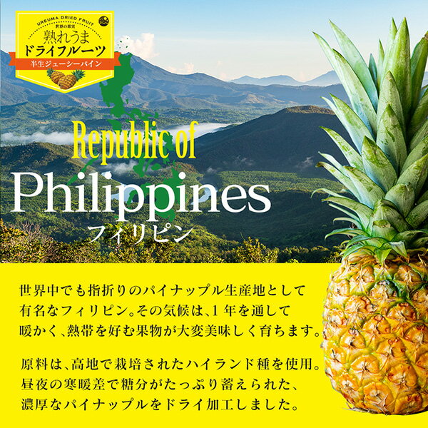 Ⱦ�����塼�����ѥ��� 80g �����ϥե���ԥ�ѥ��ʥåץ���� �忧���Ի��� �ե���ԥ� �ϥ����ɼ� �ɥ饤�ե롼�ġ�