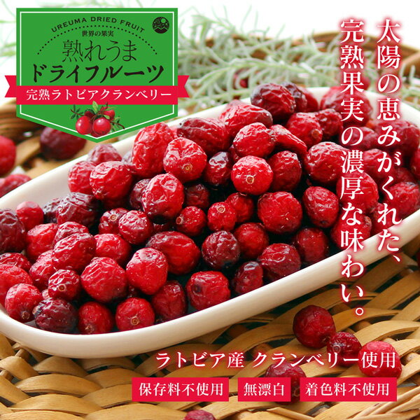 ドライクランベリー 50g ～完熟ラトビアクランベリー～ (保存料不使用 着色料不使用 無漂白 ラトビア産 ドライフルーツ ツルコケモモ) 2