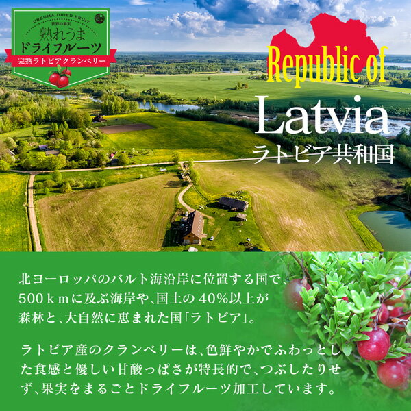 ドライクランベリー 50g ～完熟ラトビアクランベリー～ (保存料不使用 着色料不使用 無漂白 ラトビア産 ドライフルーツ ツルコケモモ) 3