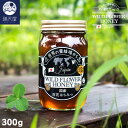 【お試し訳あり】国産 はちみつ 300g(蜂蜜 はちみつ ハチミツ 百花蜜 ワイルドハニー)