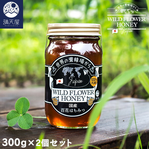 【お試し訳あり】国産 はちみつ 600g (300g×2個セット) (蜂蜜 はちみつ ハチミツ 百花蜜 ワイルドハニー)