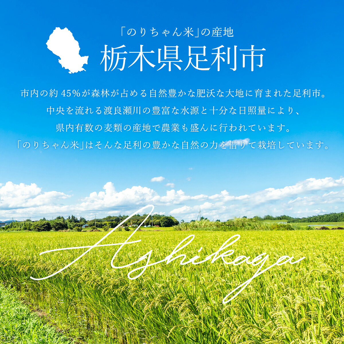 【足利産】のりちゃん米 白米 (にじのきらめき) 令和7年産 ＜栽培期間中 農薬・肥料不使用＞（ お米 無農薬 完全自然栽培 栃木県産 2025年産 ）