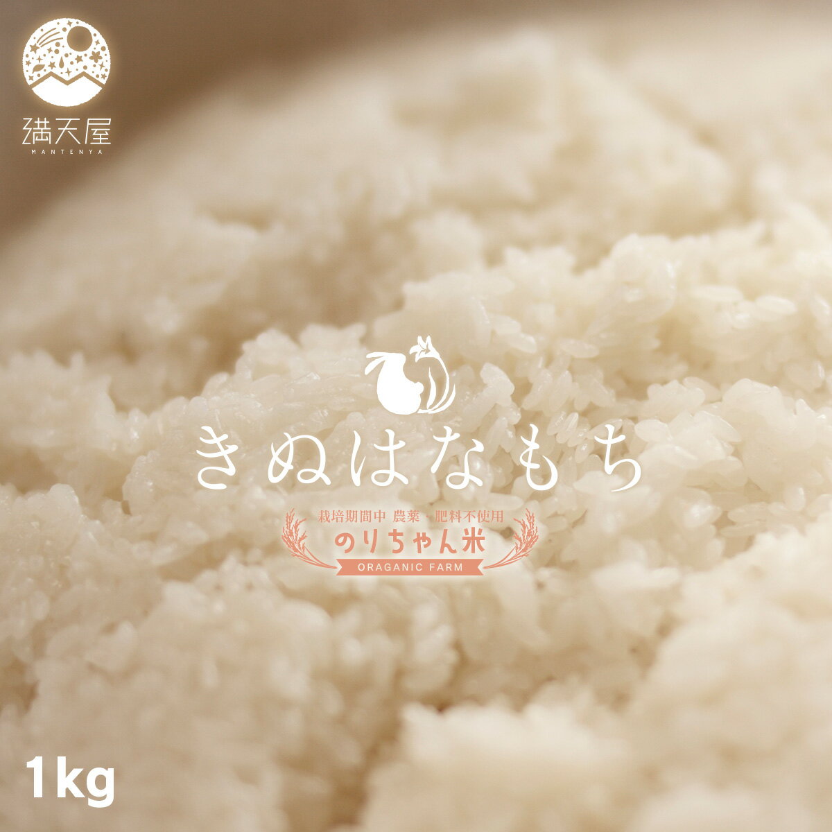 楽天市場】無農薬 米 栃木の通販