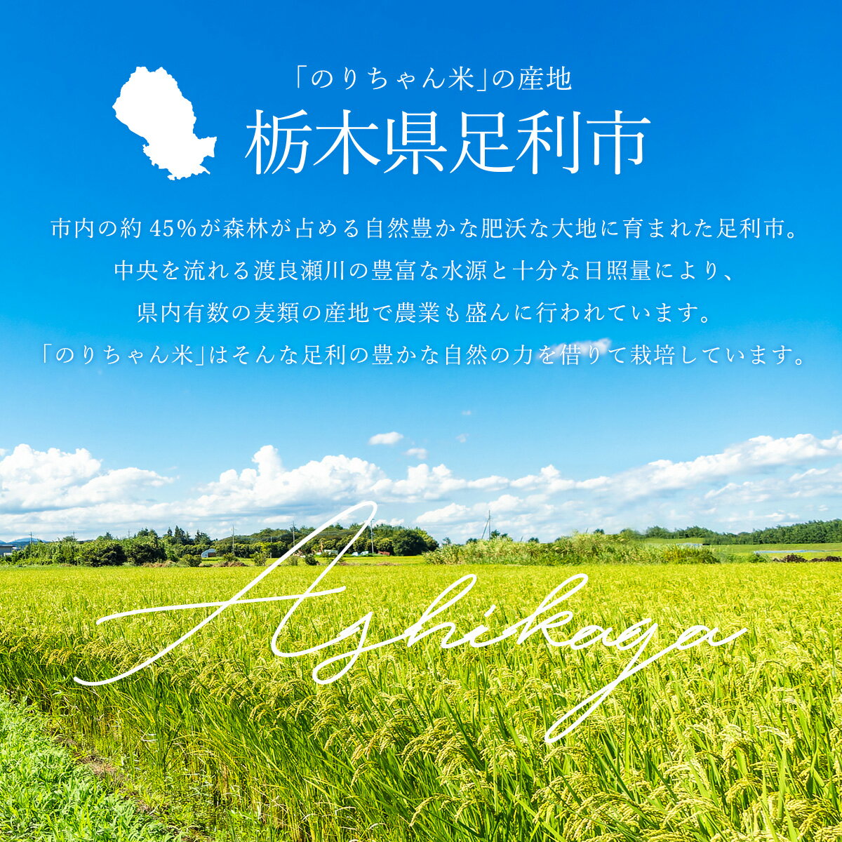 【足利産】のりちゃん米 もち米 (きぬはなもち) 令和7年産 ＜栽培期間中 農薬・肥料不使用＞（ お米 無農薬 完全自然栽培 栃木県産 2025年産 ）