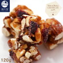 【お試し訳あり】ナッツ&ベリーのキャラメリゼ バニラ風味 120g