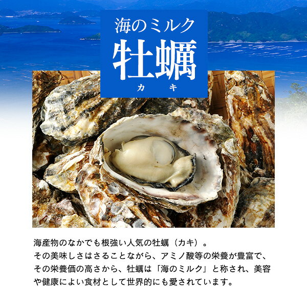 【お試し訳あり】特選粉末 牡蠣エキスパウダー 30g ～瀬戸内海産 むき身生牡蠣使用...