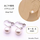 あこや 真珠 イヤリング 8mm ~8.5mm ホワイト系 パール シルバー 冠婚葬祭 フォーマル セレモニー カジュアル 卒園式 卒業式 入園式 入学式 成人式 ギフト プレゼント