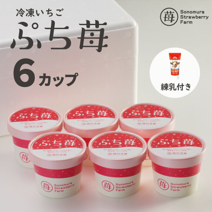 【農家直送】にっぽんの宝物公式認定 冷凍いちご 熊本県産 ぷち苺 50g 6カップ 練乳付き ／ コロコロ サイコロ 冷凍フルーツ ひんやりスイーツ 国産 冷凍イチゴ ギフト 贈り物 お中元 残暑お見…