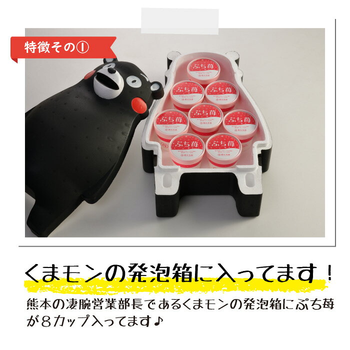 【農家直送】くまモン発泡箱入り 冷凍いちご 熊本県産『ぷち苺』 50g×8カップ 練乳付き ／ コロコロ サイコロ 冷凍フルーツ ひんやりスイーツ 国産 冷凍イチゴ ギフト 贈り物 お中元 残暑お見舞 お歳暮 御祝 くまもんグッズ sonomuraberry-10000018 園村苺園 サンプル画像2