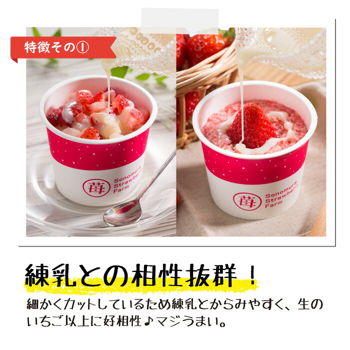 【農家直送】にっぽんの宝物公式認定 冷凍いちご 熊本県産『ぷち苺』＋『さら苺』 50g 6×6カップ 練乳付き ／ 冷凍フルーツ ひんやりスイーツ 国産 冷凍イチゴ ギフト 贈り物 お中元 残暑お見舞 お歳暮 御祝 sonomuraberry-10000016 園村苺園 サンプル画像2
