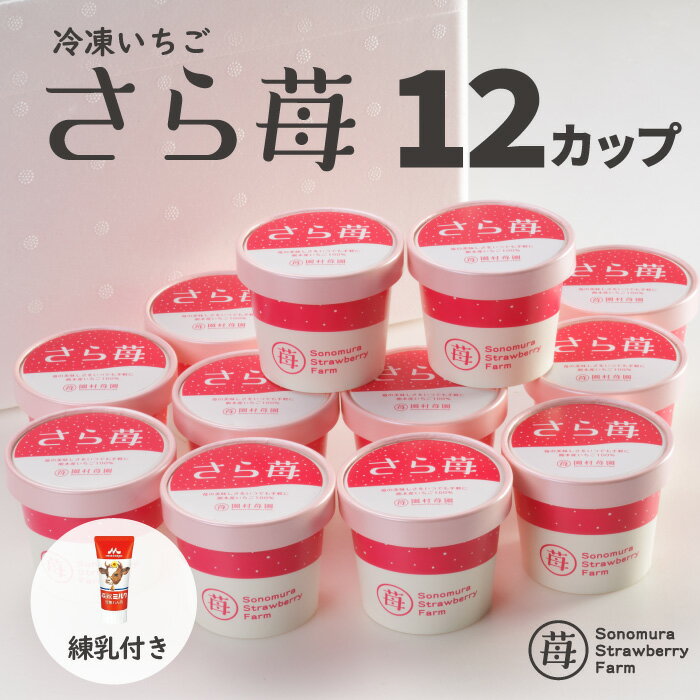 【農家直送】にっぽんの宝物公式認定 冷凍いちご 熊本県産 さら苺 50g 12カップ 練乳付き ／ サラサラ パウダー 冷凍フルーツ ひんやりスイーツ 国産 冷凍イチゴ ギフト 贈り物 お中元 残暑お…