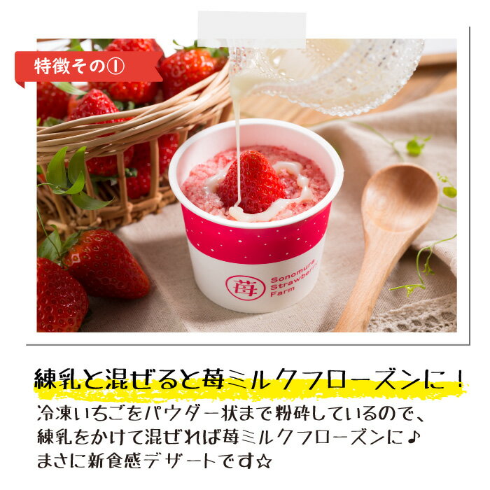 【農家直送】にっぽんの宝物公式認定 冷凍いちご 熊本県産『さら苺』 50g×12カップ 練乳付き ／ サラサラ パウダー 冷凍フルーツ ひんやりスイーツ 国産 冷凍イチゴ ギフト 贈り物 お中元 残暑お見舞 お歳暮 御祝