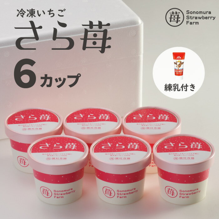 【農家直送】にっぽんの宝物公式認定 冷凍いちご 熊本県産『さら苺』 50g×6カップ 練乳付き ／ サラサラ パウダー 冷凍フルーツ ひんやりスイーツ 国産 冷凍イチゴ ギフト 贈り物 お中元 残暑お見舞 お歳暮 御祝