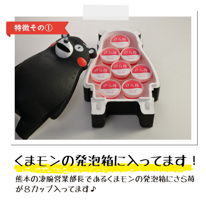 【農家直送】くまモン発泡箱入り 冷凍いちご 熊本県産『さら苺』 50g×8カップ 練乳付き ／ サラサラ パウダー 冷凍フルーツ ひんやりスイーツ 国産 冷凍イチゴ ギフト 贈り物 お中元 残暑お見舞 お歳暮 御祝 くまもんグッズ