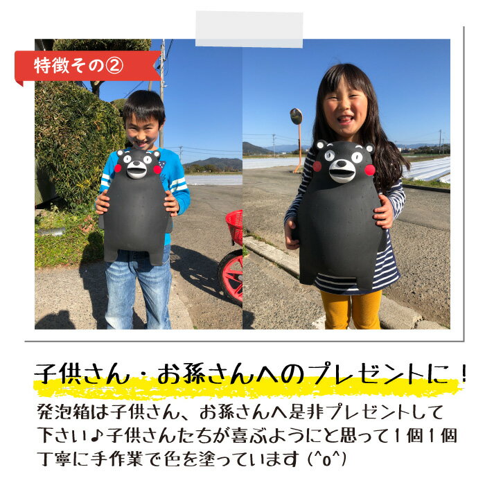 【農家直送】くまモン発泡箱入り 冷凍いちご 熊本県産『さら苺』 50g×8カップ 練乳付き ／ サラサラ パウダー 冷凍フルーツ ひんやりスイーツ 国産 冷凍イチゴ ギフト 贈り物 お中元 残暑お見舞 お歳暮 御祝 くまもんグッズ