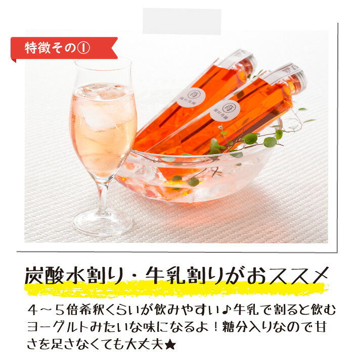 【農家直送】完熟苺酢 200ml×2本 農家秘伝の製法で作ったいちごの飲むお酢♪ お中元...