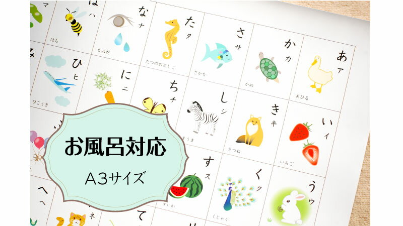 ひらがな みぞなぞり 書き順付き 習字ボード【ゆうパケットのみ送料無料】繰り返し練習できる 練習ボード おもちゃ 知育玩具 【みぞなぞり習字ボード】練習専用芯 プニュクリップ　鉛筆グリップ プニュグリップ 筆箱 文房具 ペンケース ペンポーチ 鉛筆のサック