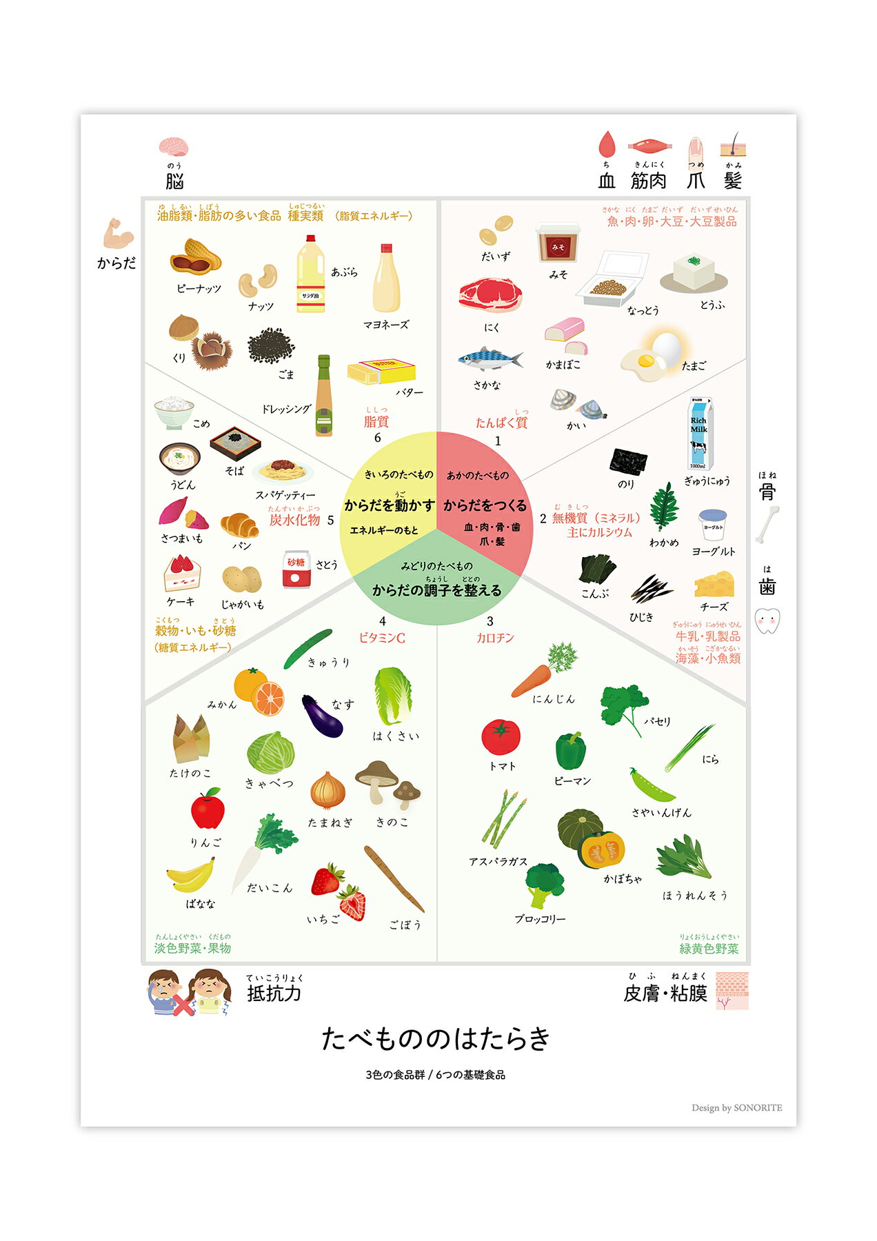 たべものの働き ポスター【お風呂対応】A3サイズ 栄養素 食事 エネルギー 家庭科 ...