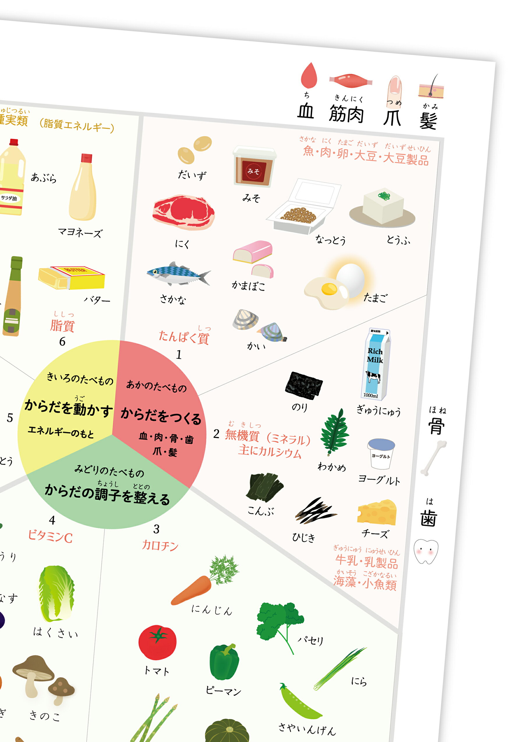 ���٤�Τ�Ư�� �ݥ������ڤ���Ϥ�б���A3������ ������ ���� ���ͥ륮�� ������ ����ƥꥢ ���Υ��