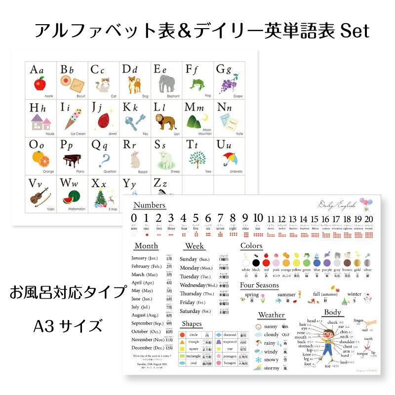 アルファベット表＆英語単語ポスターセット【お風呂対応】 A3サイズ 角丸 インテリ...