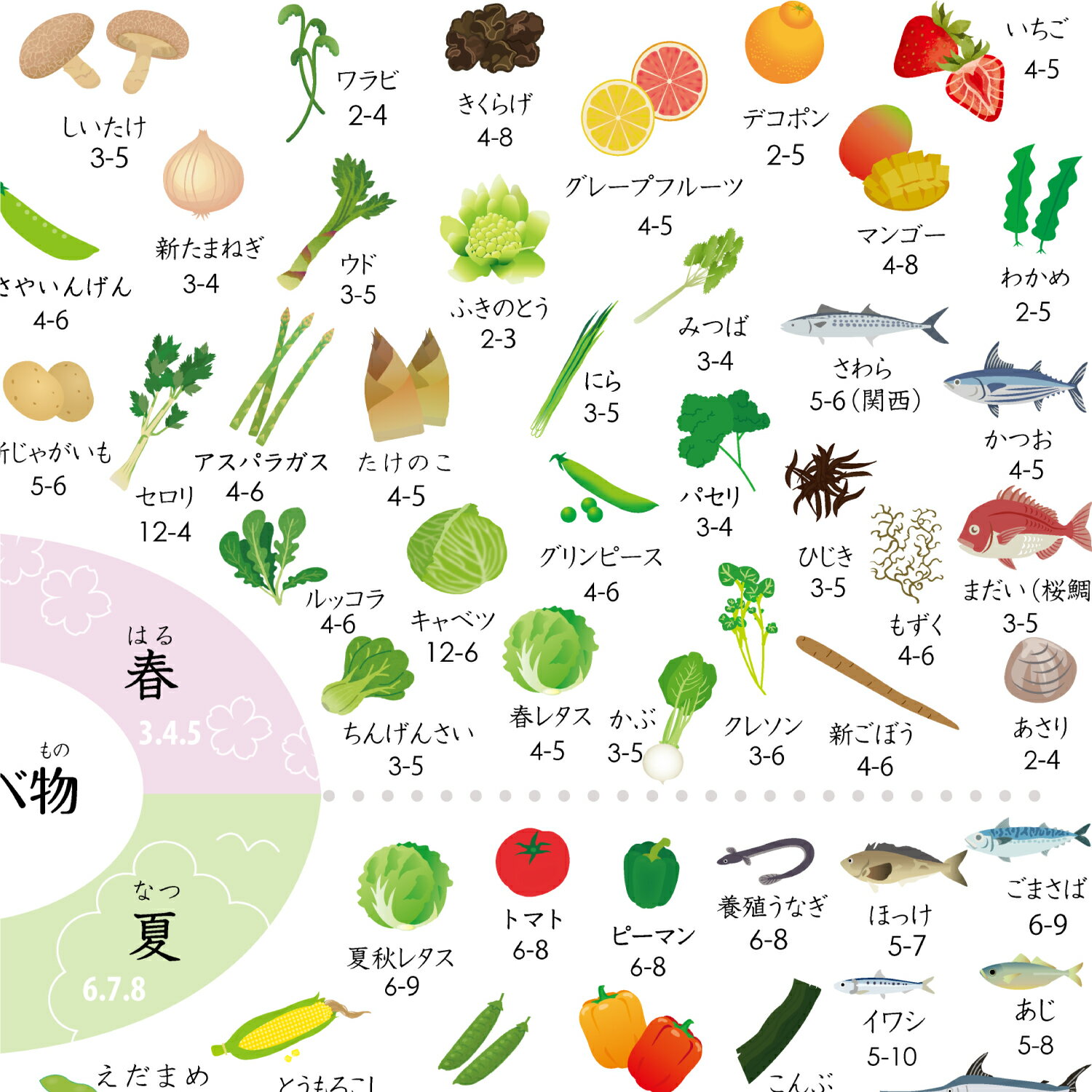 �ƻҤǳؤ٤뿩��ʪ�ν� �ݥ������ڤ���Ϥ�б��ۿ��� ���ͥ륮�� A3������ �ݥ����� ���� ���� ����ƥꥢ���Ѵ�