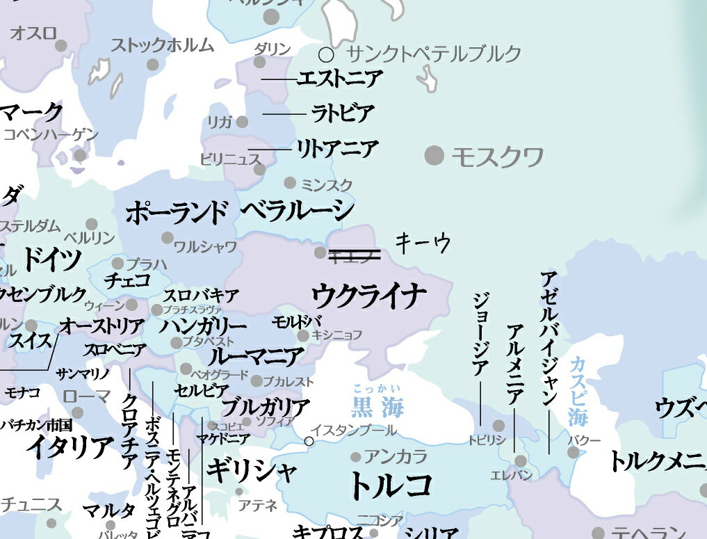 ウクライナ 旧キエフ表記のお得な訳あり商品 訳あり ディスカウント A1サイズ 木目が温かい 知育 寄木風のおしゃれな 受注生産品 日本語表記 世界地図 英語 ポスター室内用