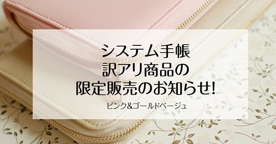 【訳アリ商品】お買い得！マルチ家計収納 システム手帳　ディスカウント商品　送料込み 家計簿 袋分け ファイル 袋分け パスポートケース 通帳 お薬手帳 母子手帳 カードケース 名刺入れ ギフト