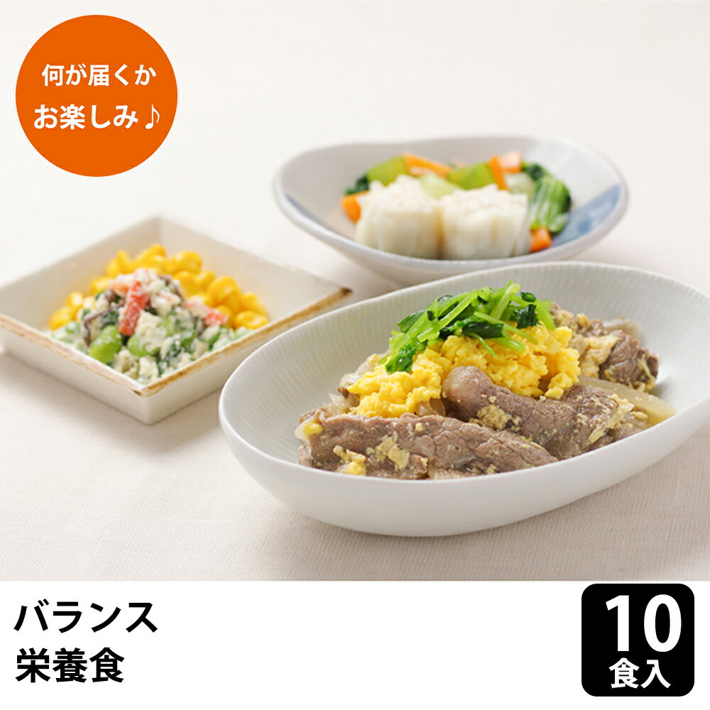 【500円OFFクーポン配布中！5/16 1:59まで】メディカルフーズ バランス栄養食 お急ぎ10食セット