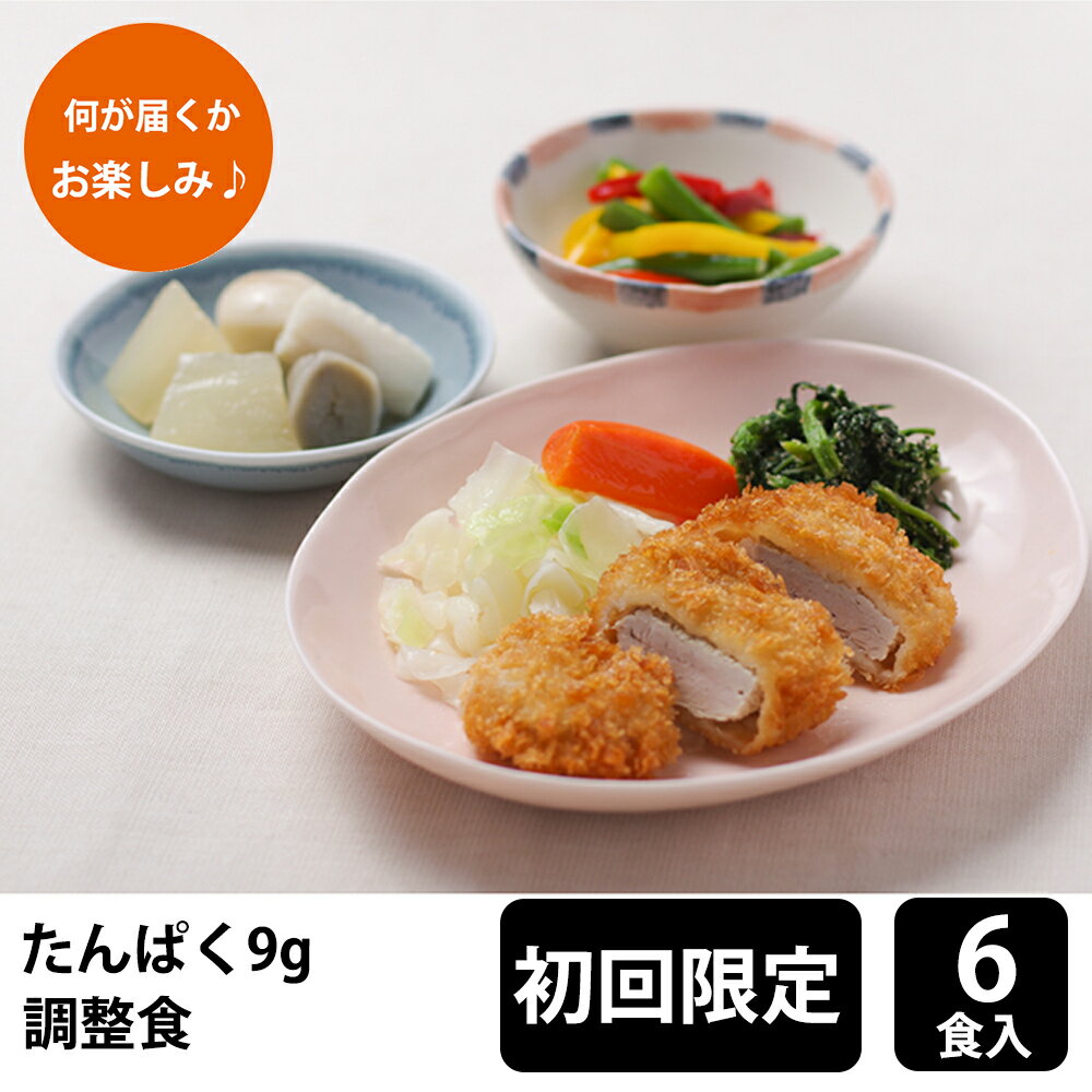 【クーポン利用で3564円に！5/22まで】メディカルフーズ 【初回購入限定】 たんぱく調整食9g 試食6食セット