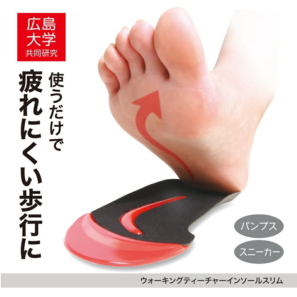 【お買い物マラソン期間中 ポイント10倍！】ドリーム PROIDEA ウォーキング ティーチャーイン