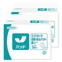 ネピアテンダー エクストラお肌・安心パッド多い＋ 30枚×2袋(合計60枚)
