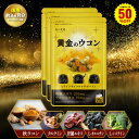 \【徳用】90日分まとめ買いがお得!/【在庫過多のため★見切り品セール】 ウコン サプリ 送料無料 お酒 サプリ サプリメント うこん 秋ウコン 飲み会 酒 ク...