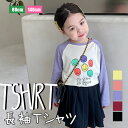 メール便 送料無料 韓国子供服 韓国こども服 子ども服 こども服 トップス 長袖 Tシャツ イラスト プリント 秋 人気 伸縮性 キッズ ジュニア 女の子 女子 ガールズ 男の子 男子 ボーイズ ユニセックス おしゃれ かわいい 80cm 90cm 100cm 110cm 120cm 130cm 140cm