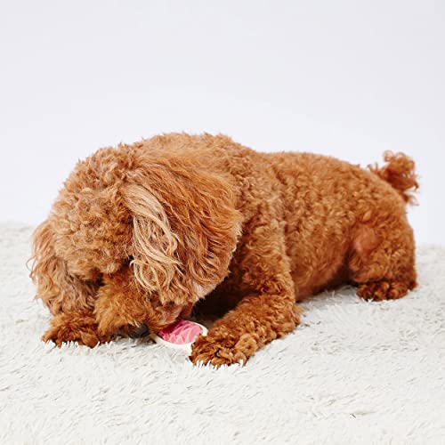 ペティオ (Petio) 犬用おもちゃ かんでるボーンデンタル Mハード 完熟いちごフレーバー 送料無料