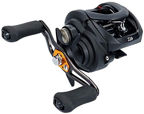 ダイワ(DAIWA) ベイトリール 19 タトゥーラ TW 100H(2019モデル) 送料無料