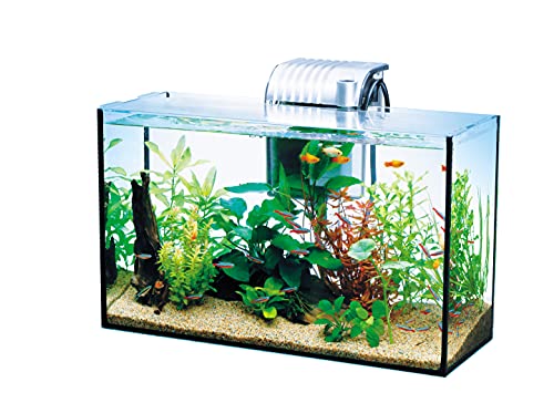 テトラ (Tetra) ガラス 水槽 オールグラスアクアリウム GA-420F 水槽 熱帯魚 メダカ 金魚 送料無料