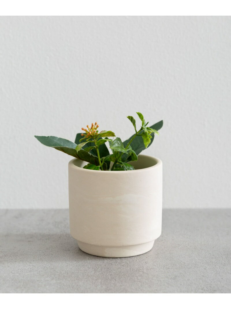 BLOMSTER SOIL POT SENSE OF PLACE センス オブ プレイス 福袋・ギフト・その他 その他 ホワイト[Rakuten Fashion]