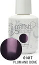 HARMONY gelish (ハーモニー ジェリッシュ) 01417 (15ml)プラムアンドダン