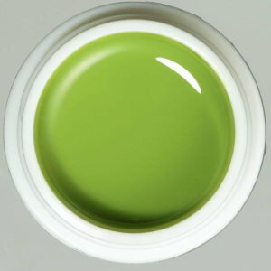 【パラジェル】para gel カラージェル AR7 (4g) 【Art Line AR Real Color】 オリーブグリーン