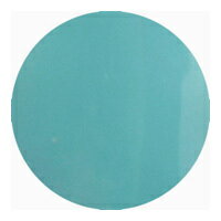 【パラジェル】para gel カラージェル DP04 (4g) 【Designer'sLine DN Nudy】 スプリングブルー