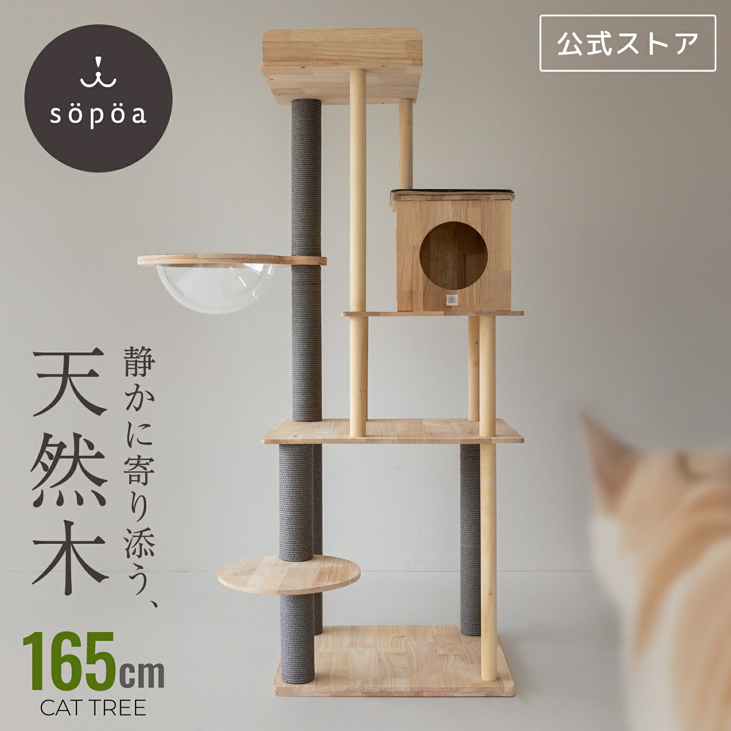 楽天市場】キャットタワー 木製の通販