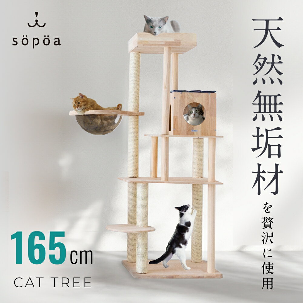 【期間限定5,000円OFF】キャットタワー 木製 大型猫 スリム 宇宙船 天然 シニア 短足種 対応 おしゃれ 多頭 多頭飼い 据え置き 爪研ぎ サイザル 無垢材 省スペース クリアボウル 運動不足 解消 高さ165cm 安定 耐久 安定性 耐久性 ラバーウッド 【CAT TREE Medium】