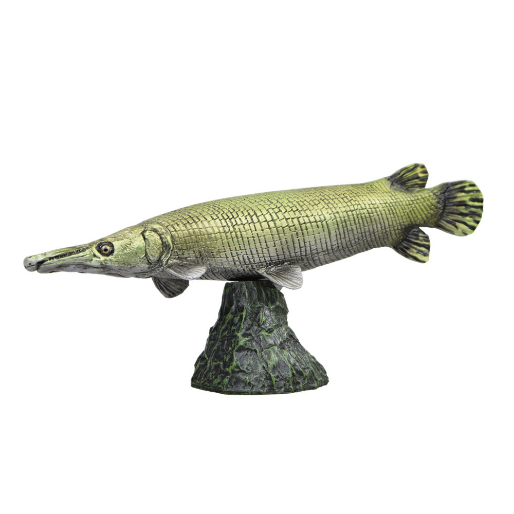 楽天市場】古代魚フィギュアの通販 楽天市場】古代魚フィギュアの通販