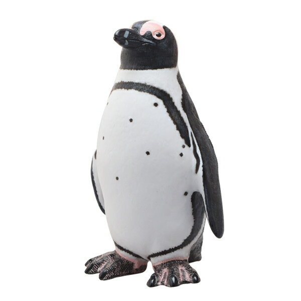 フェバリット 海洋生物フィギュアビニールモデル ケープペンギン