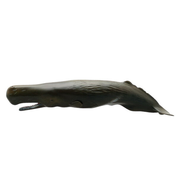 フェバリット 海洋生物フィギュアマリンライフ ソフトモデルマッコウクジラ