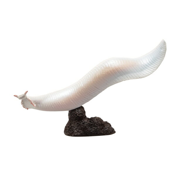フェバリット 古生物フィギュアミニモデル ピカイア