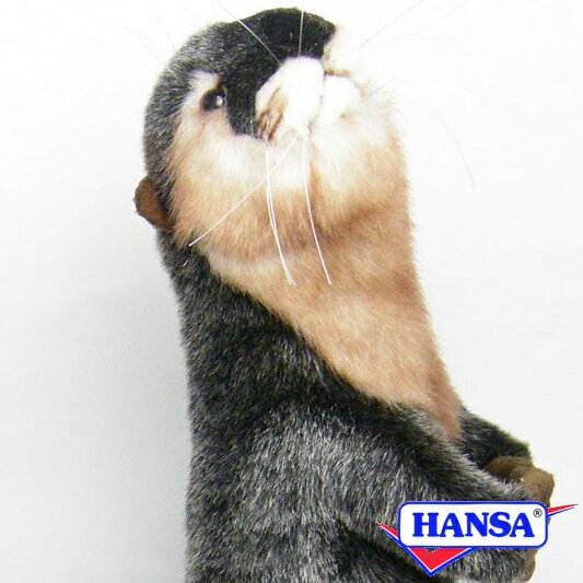 Rakuten - HANSA ハンサ ぬいぐるみ3814 カワウソ かわうそ リアル 動物