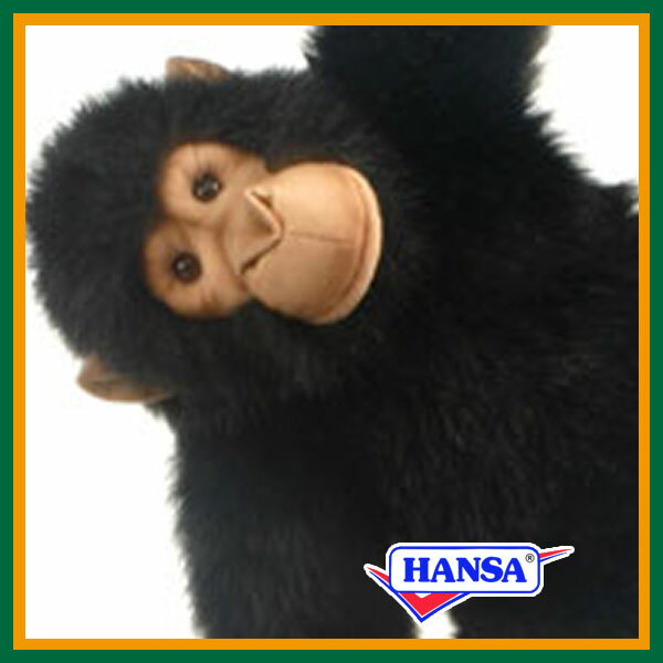 知らなかった チンパンジーの謎