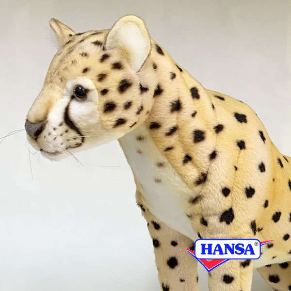 HANSA ϥ ̤7268  ꥢ ưʪ